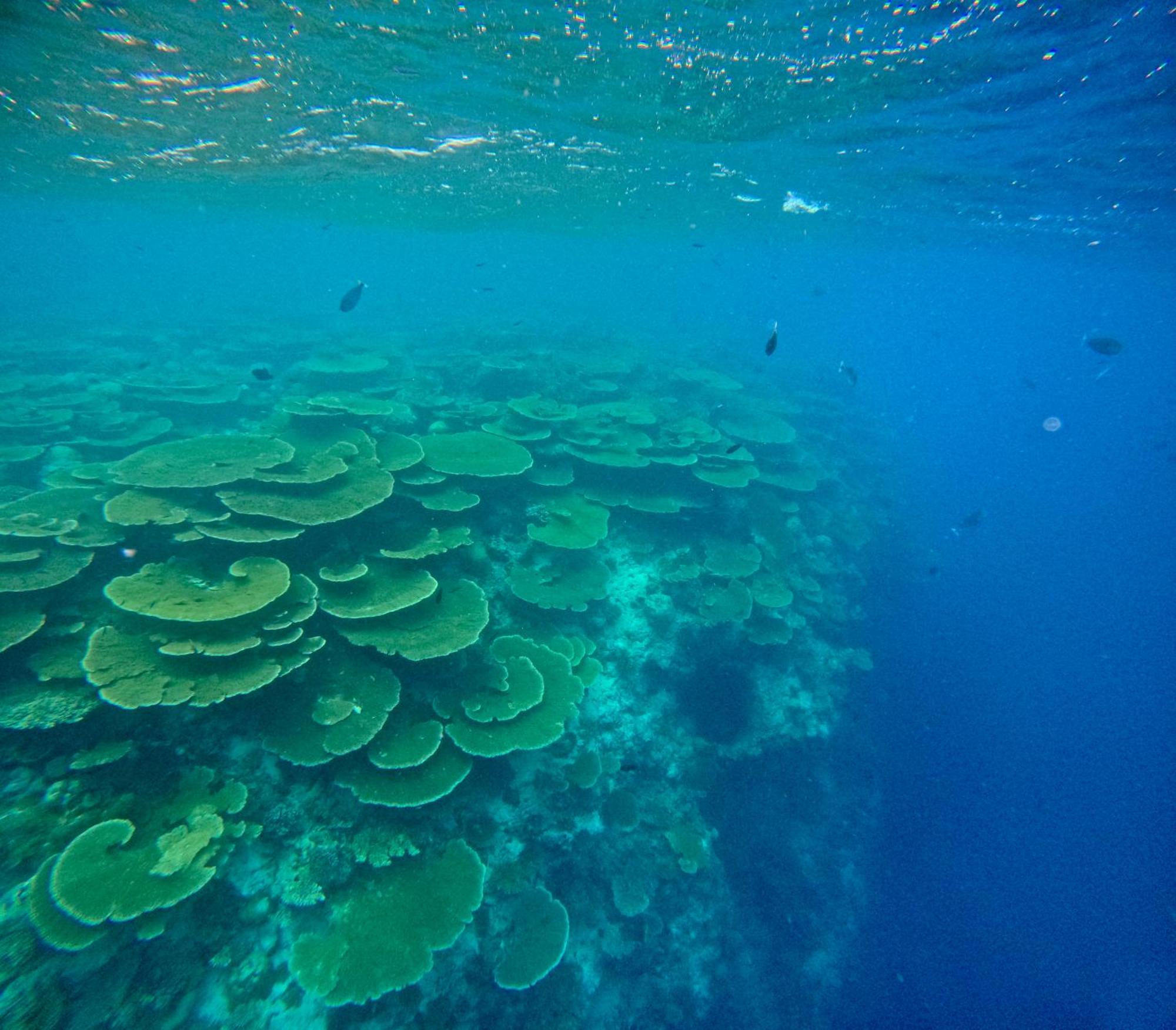 Hotel Konut by Thakuru Guraidhoo  Exteriér fotografie